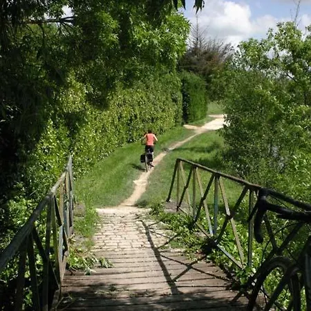 Maraichine En Bord De Conche Avec Barque Sans Linge De Maison