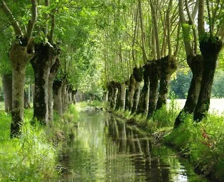 Maraichine En Bord De Conche Avec Barque Sans Linge De Maison Feriehus Arçais