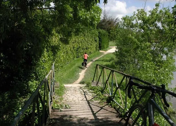 Maraichine En Bord De Conche Avec Barque Sans Linge De Maison
